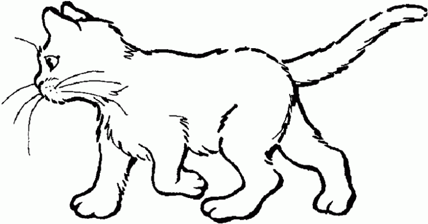 Dibujo de gato caminando. Dibujo de gato caminando.