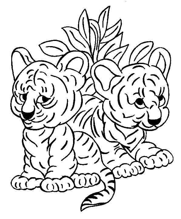 Dibujo De Tigres Cachorros Dibujos Para Colorear