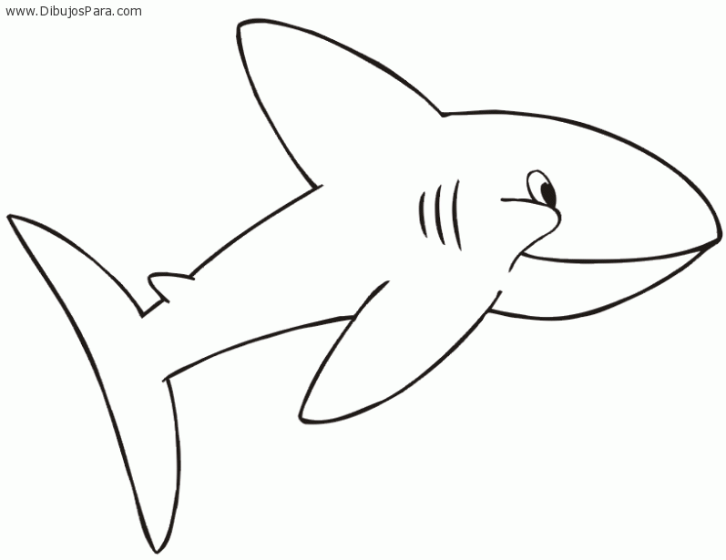 Dibujo de Tiburon infantil | Dibujos de Tiburones para Pintar | Dibujos  para Colorear