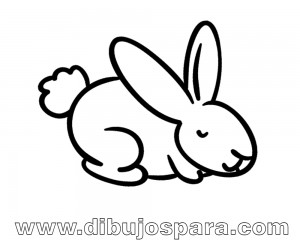 Dibujo de Conejo Facil para Colorear