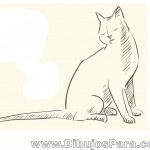 Dibujo de Gato sentado